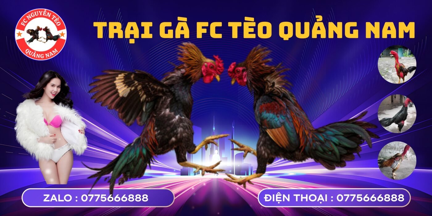 trại gà quảng nam