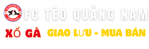 fcteoquangnam.live